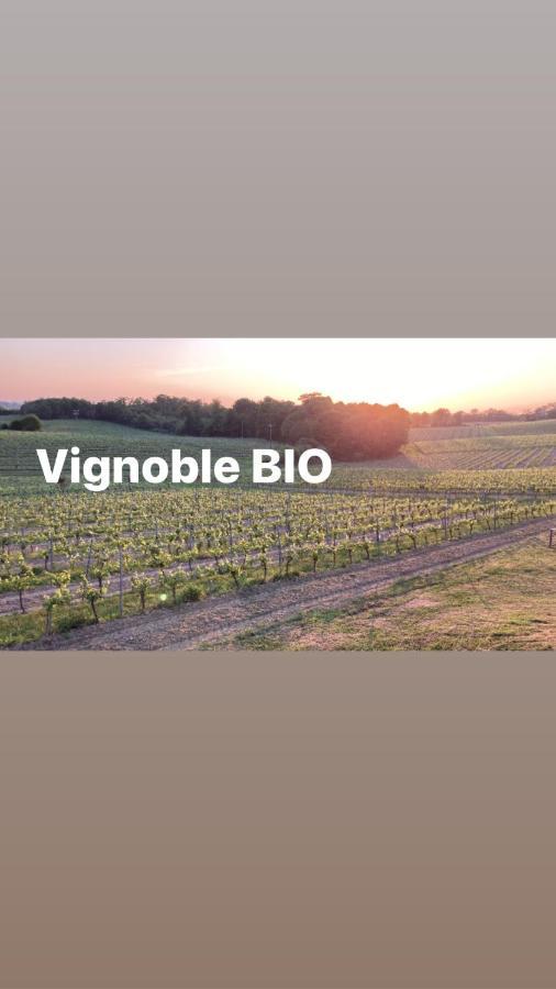 Gite Les Vignes Cravenceres Exteriér fotografie