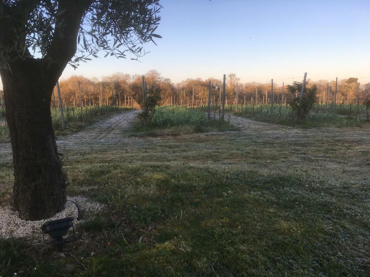 Gite Les Vignes Cravenceres Exteriér fotografie